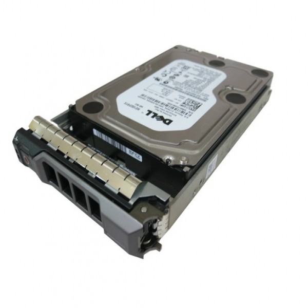 rsm51_a11.jpg